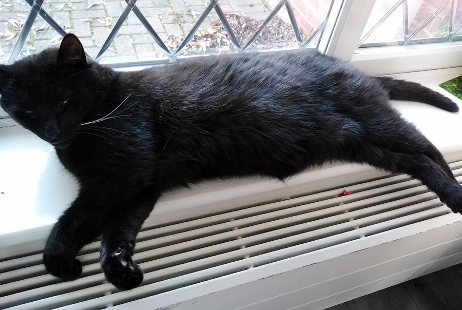 The Care Home Heritage Care Homes in Luton